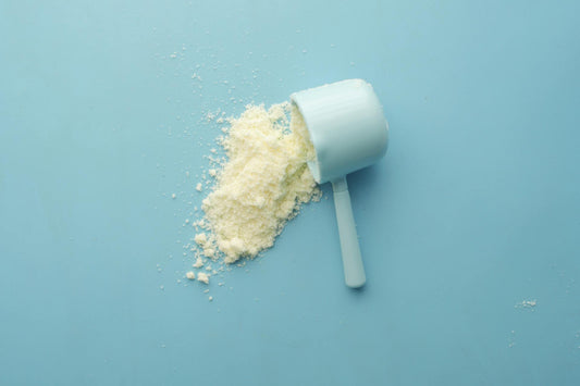 Acme 乳清蛋白 – 香草味